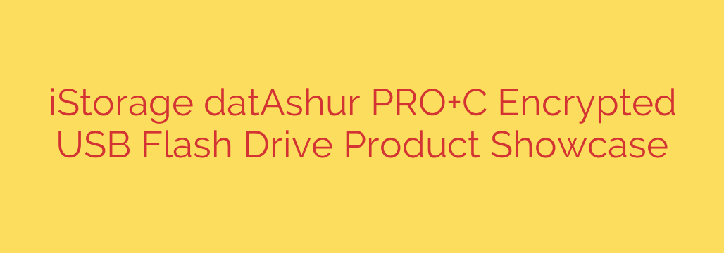 iStorage datAshur PRO+C Encrypted USB Flash Drive Product Showcase