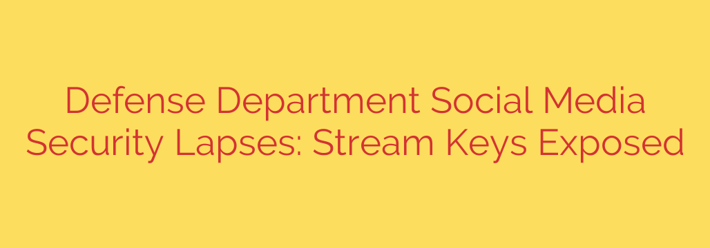 Defense Department Social Media Security Lapses: Stream Keys Exposed