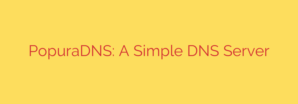 PopuraDNS: A Simple DNS Server