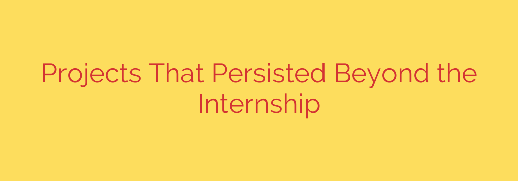 Projects That Persisted Beyond the Internship