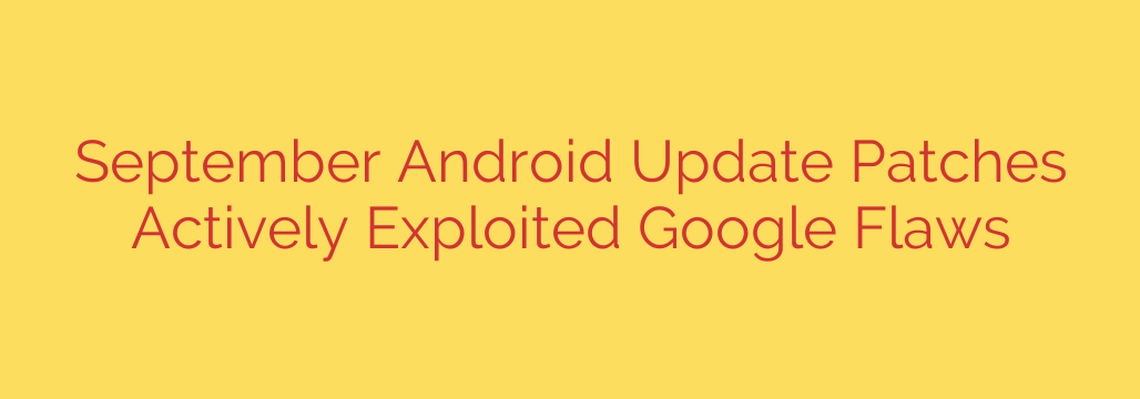 September Android Update Patches Actively Exploited Google Flaws