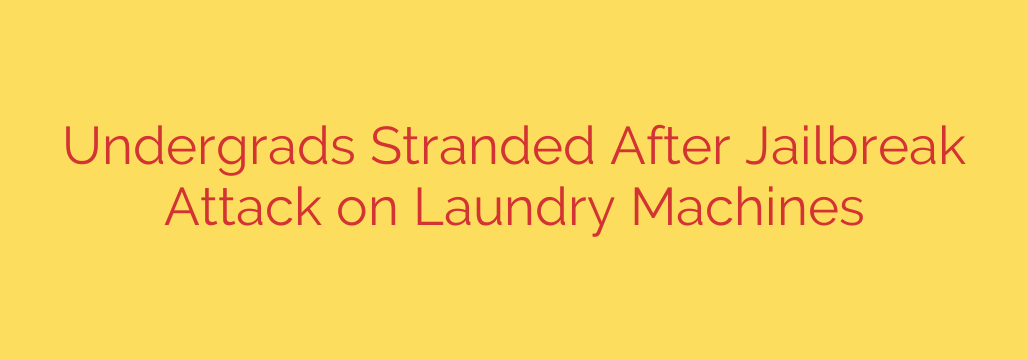 Undergrads Stranded After Jailbreak Attack on Laundry Machines