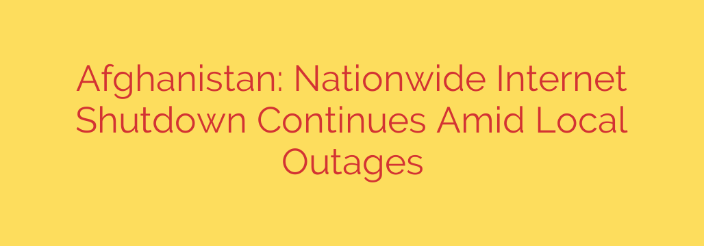 Afghanistan: Nationwide Internet Shutdown Continues Amid Local Outages