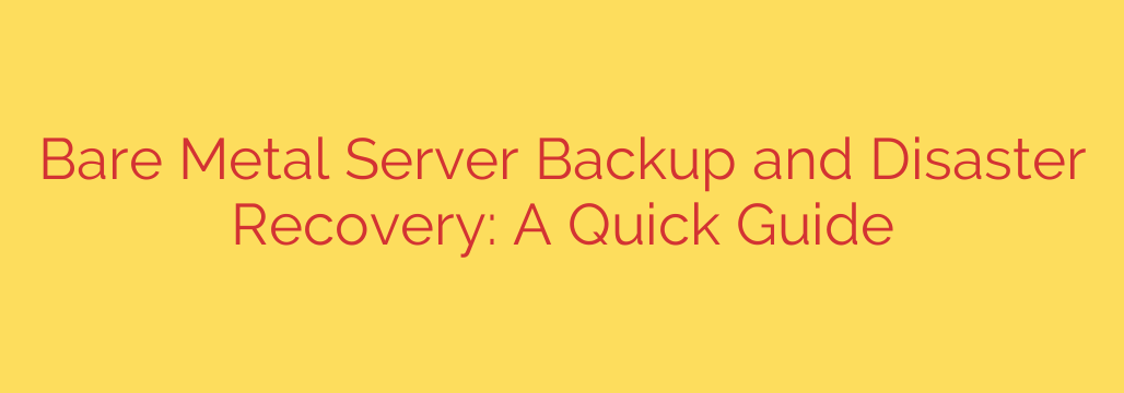 Bare Metal Server Backup and Disaster Recovery: A Quick Guide