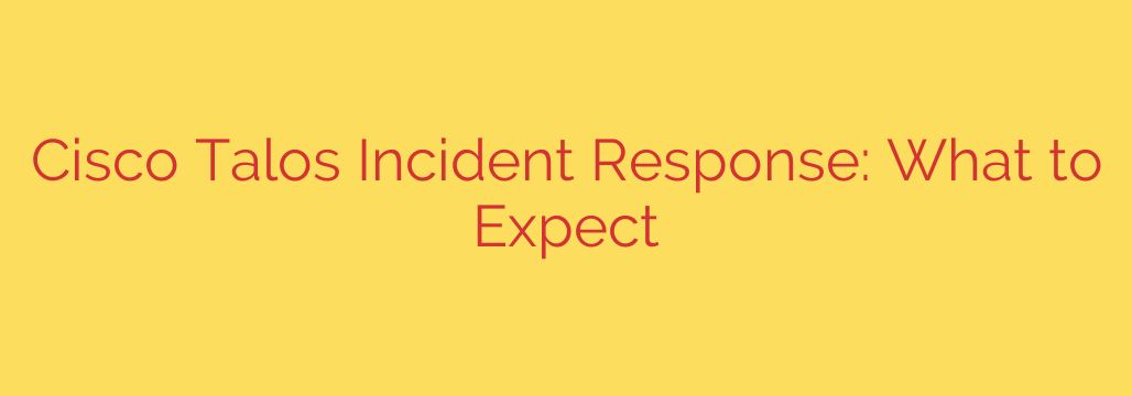 Cisco Talos Incident Response: What to Expect