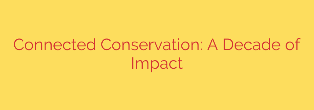 Connected Conservation: A Decade of Impact