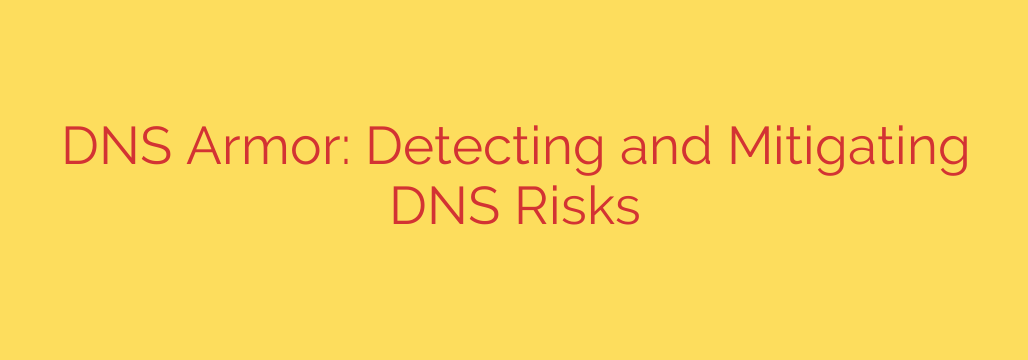 DNS Armor: Detecting and Mitigating DNS Risks
