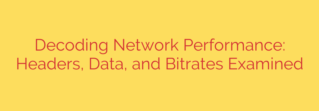 Decoding Network Performance: Headers, Data, and Bitrates Examined
