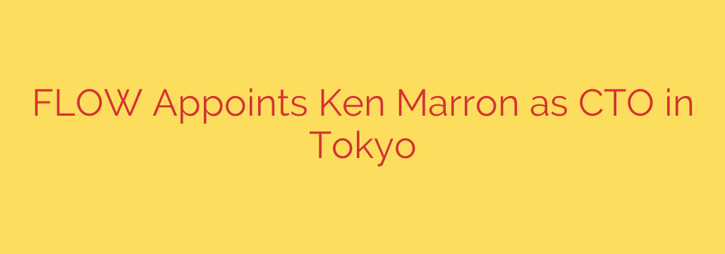 FLOW Appoints Ken Marron as CTO in Tokyo