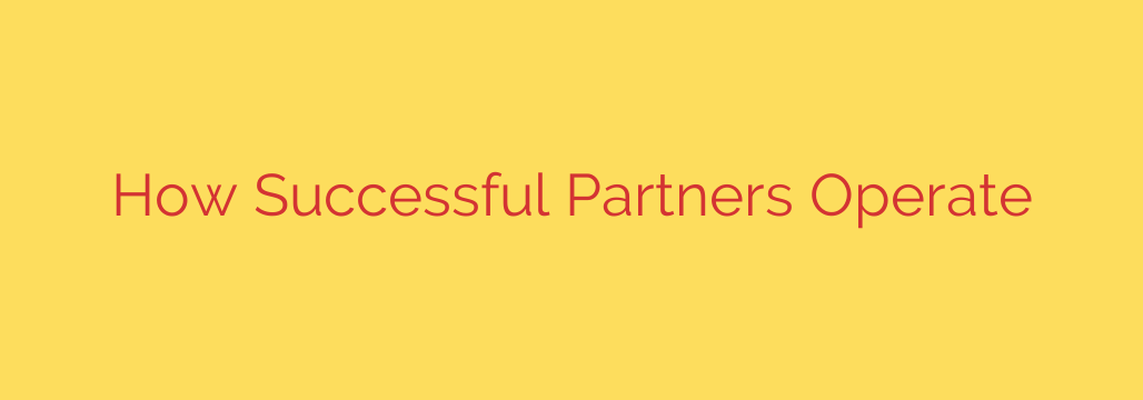 How Successful Partners Operate