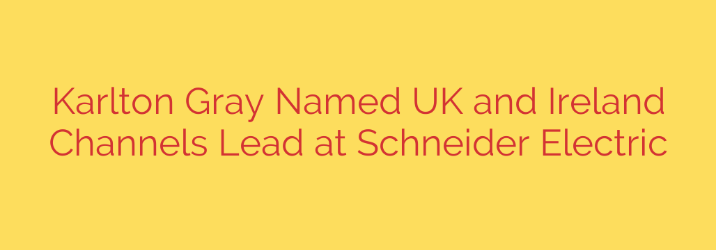 Karlton Gray Named UK and Ireland Channels Lead at Schneider Electric