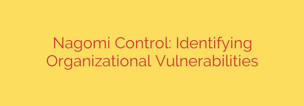 Nagomi Control: Identifying Organizational Vulnerabilities