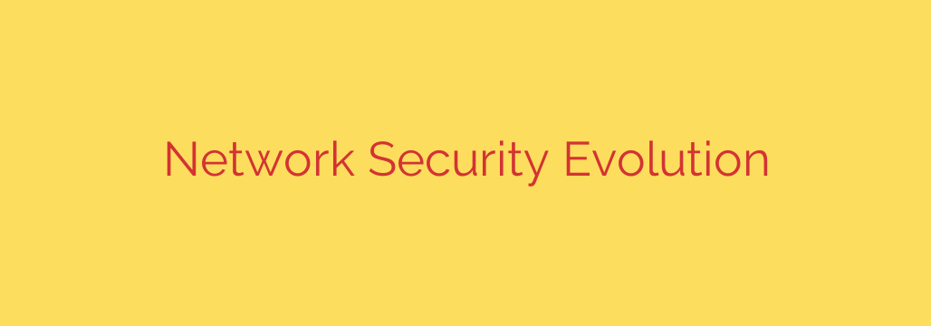 Network Security Evolution