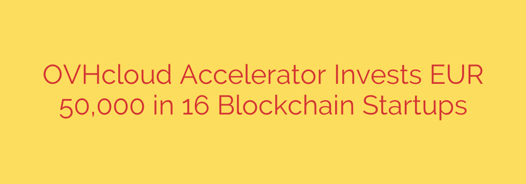 OVHcloud Accelerator Invests EUR 50,000 in 16 Blockchain Startups