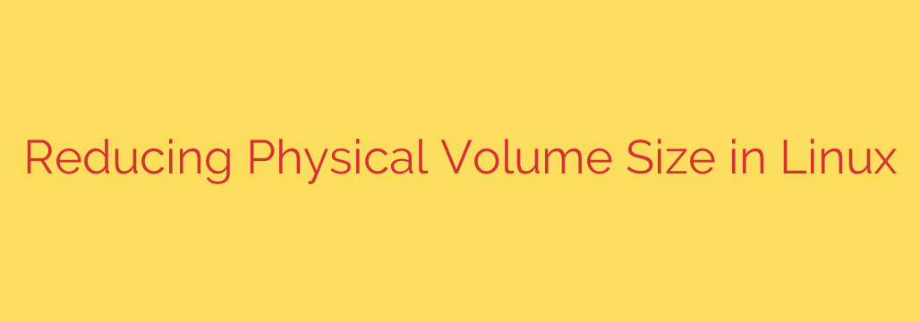 Reducing Physical Volume Size in Linux