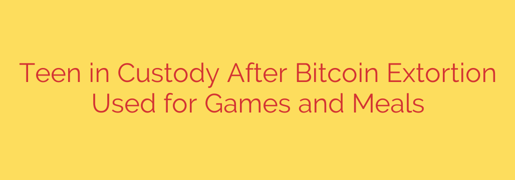 Teen in Custody After Bitcoin Extortion Used for Games and Meals