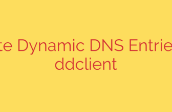 Update Dynamic DNS Entries with ddclient