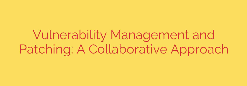 Vulnerability Management and Patching: A Collaborative Approach