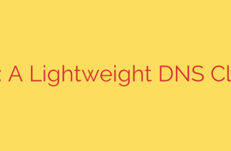 wig: A Lightweight DNS Client