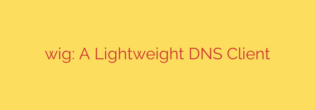 wig: A Lightweight DNS Client