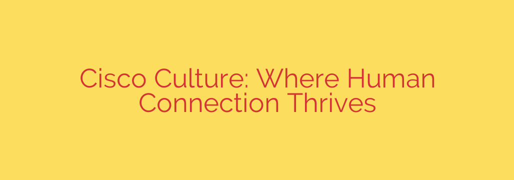 Cisco Culture: Where Human Connection Thrives