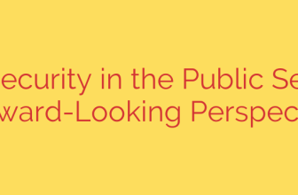 Cybersecurity in the Public Sector: A Forward-Looking Perspective