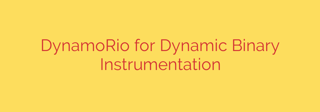 DynamoRio for Dynamic Binary Instrumentation