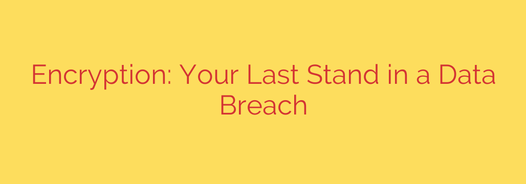 Encryption: Your Last Stand in a Data Breach