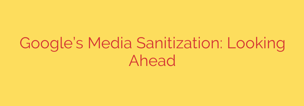 Google’s Media Sanitization: Looking Ahead