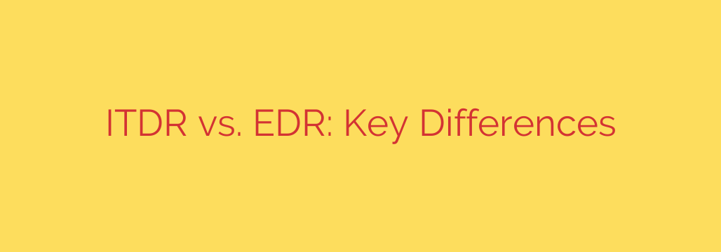 ITDR vs. EDR: Key Differences