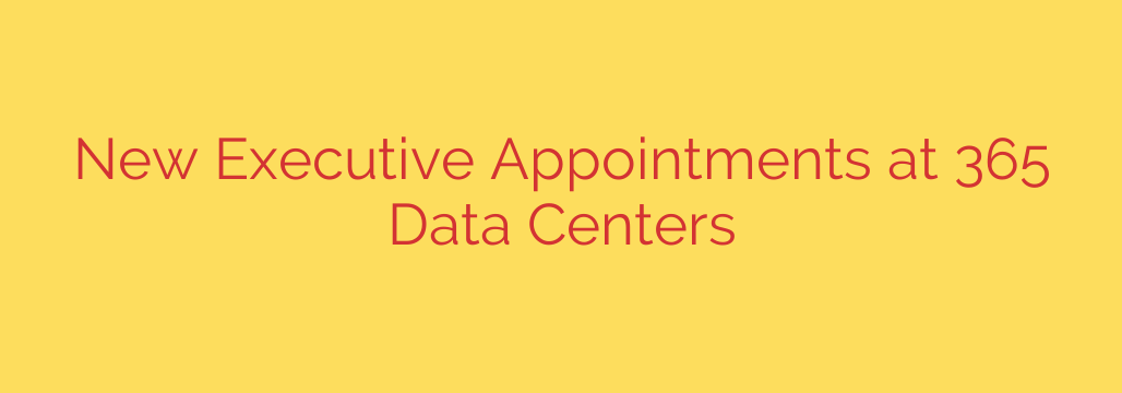 New Executive Appointments at 365 Data Centers
