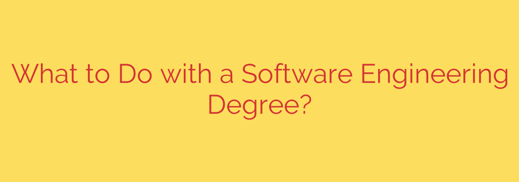 What to Do with a Software Engineering Degree?