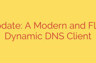 dnsupdate: A Modern and Flexible Dynamic DNS Client
