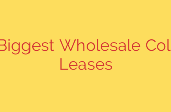 2025’s Biggest Wholesale Colocation Leases