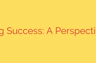 Auditing Success: A Perspective Shift