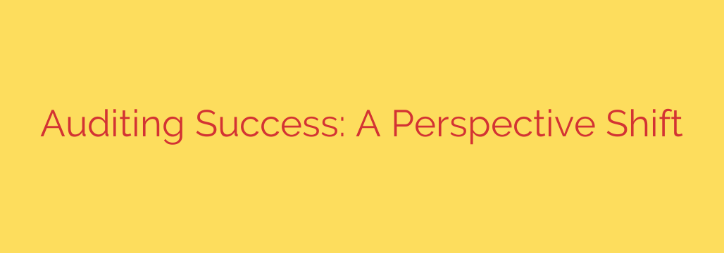 Auditing Success: A Perspective Shift
