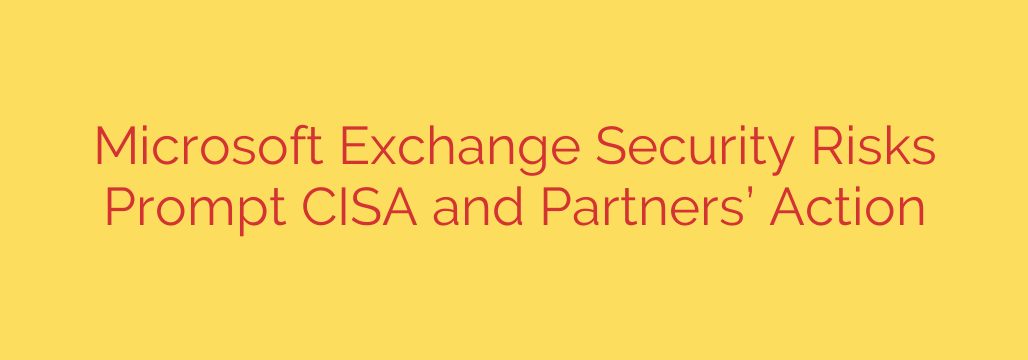 Microsoft Exchange Security Risks Prompt CISA and Partners’ Action