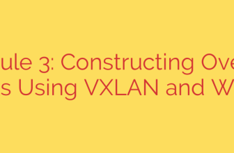 Module 3: Constructing Overlay Networks Using VXLAN and WireGuard