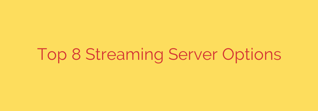 Top 8 Streaming Server Options