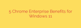 5 Chrome Enterprise Benefits for Windows 11