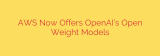 AWS Now Offers OpenAI’s Open Weight Models