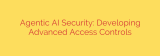 Agentic AI Security: Developing Advanced Access Controls