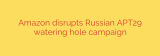Amazon disrupts Russian APT29 watering hole campaign
