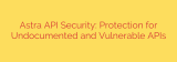 Astra API Security: Protection for Undocumented and Vulnerable APIs