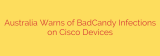 Australia Warns of BadCandy Infections on Cisco Devices