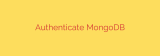 Authenticate MongoDB