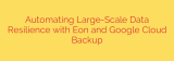 Automating Large-Scale Data Resilience with Eon and Google Cloud Backup