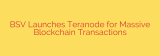 BSV Launches Teranode for Massive Blockchain Transactions