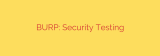 BURP: Security Testing
