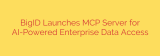 BigID Launches MCP Server for AI-Powered Enterprise Data Access